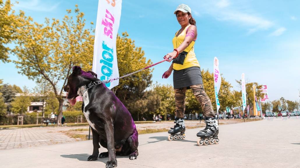 Sporty na sześć nóg - jak spędzać czas wolny z psem?
