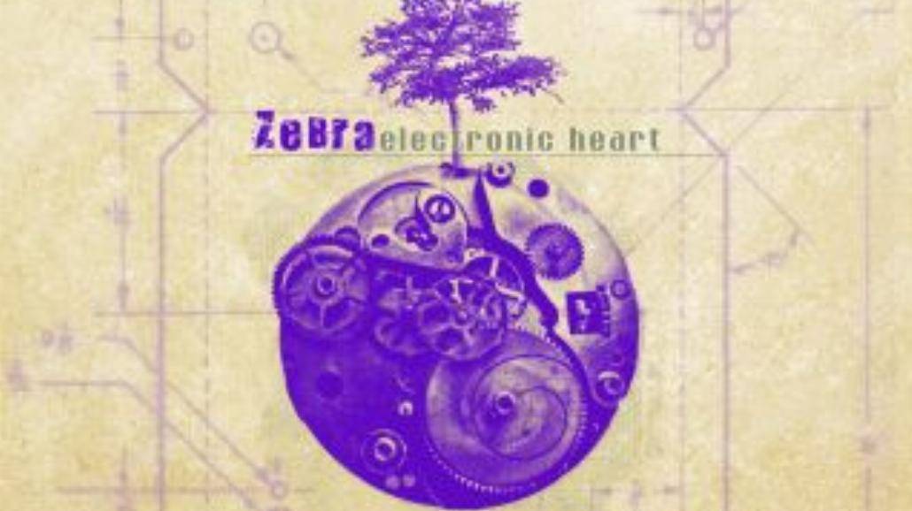 Elektroniczne serce Zebry