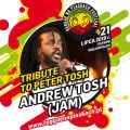 Andrew Tosh i Gutek gwiazdami Reggae na Piaskach 2018 - festiwal 2018, letnie festiwale 2018, koncerty, Ostrów Wielkopolski, reggae