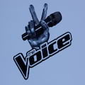 Nowy sezon amerykańskiego The Voice - muzyka, rozrywka, talent show
