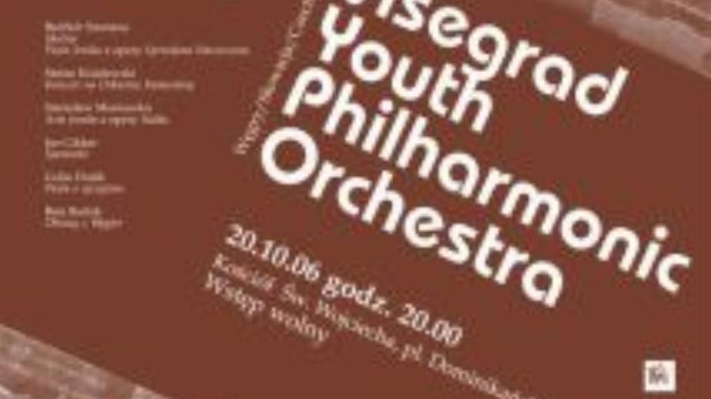 Youth Visegrad Philharmonic Orchestra