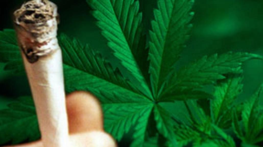 Pierwszy krok do legalizacji?