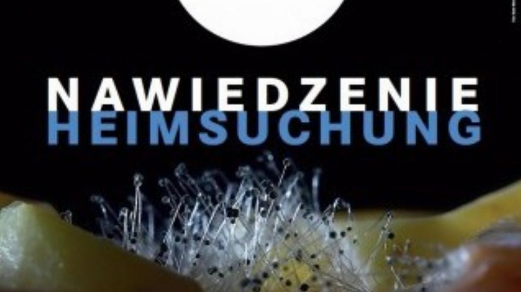 Nawiedzenie w krakowskim PWST
