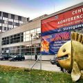 Już 17 października startuje 16. edycja DSW Happy End Festiwal Filmów Optymistycznych - termin, nagroda, festiwal, impreza