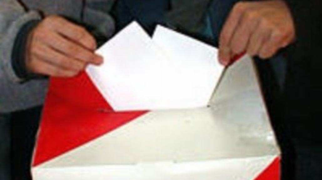 Wybory samorządowe 2010: jak głosować?