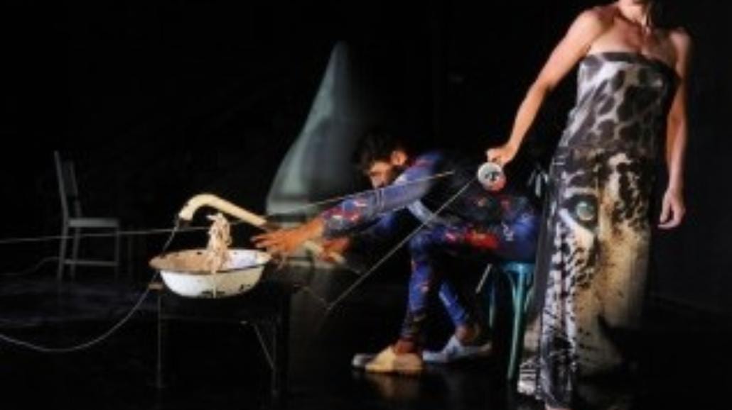 Stream Festival: Teatry Ruchu z całego świata we Wrocławiu