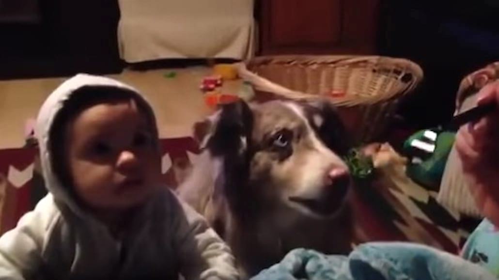 Mama uczy mówić dziecko i...psa! Wygrywa pies! Ten filmik bije rekordy popularności! [WIDEO]