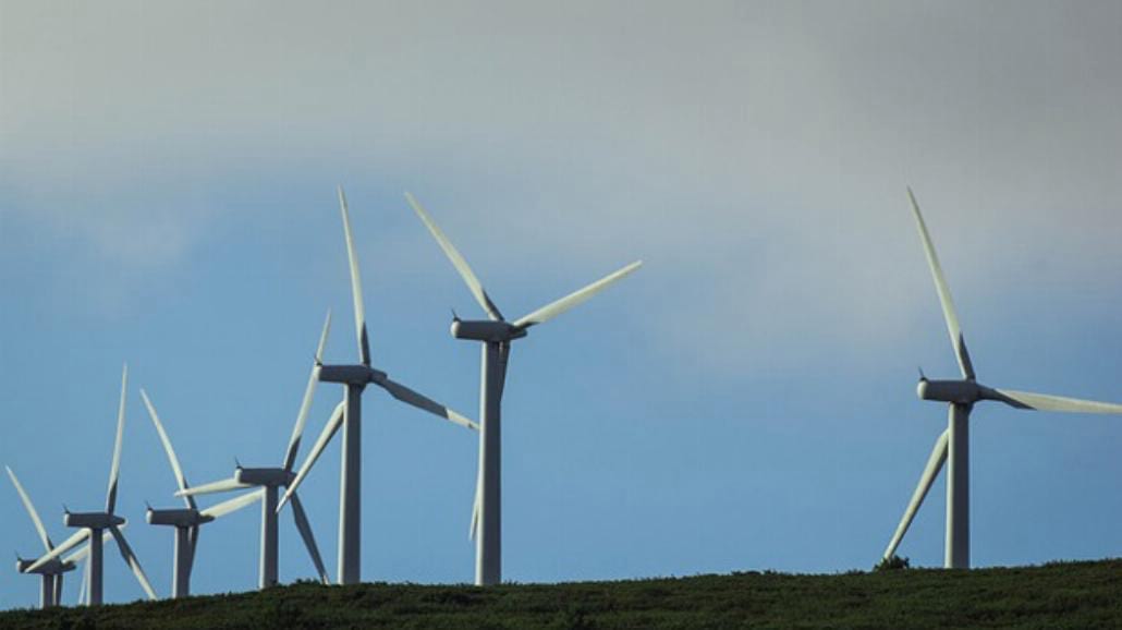 Polacy sami inwestują w turbiny wiatrowe [WIDEO]