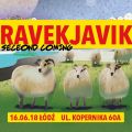 Ravekjavík: Second Coming już w czerwcu - znamy wykonawców - festiwal, festiwale 2018, muzyka elektroniczna, Islandia