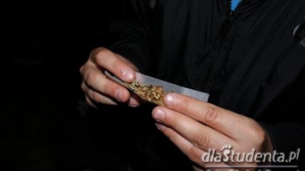 Bez kary za posiadanie 10 gramów marihuany?