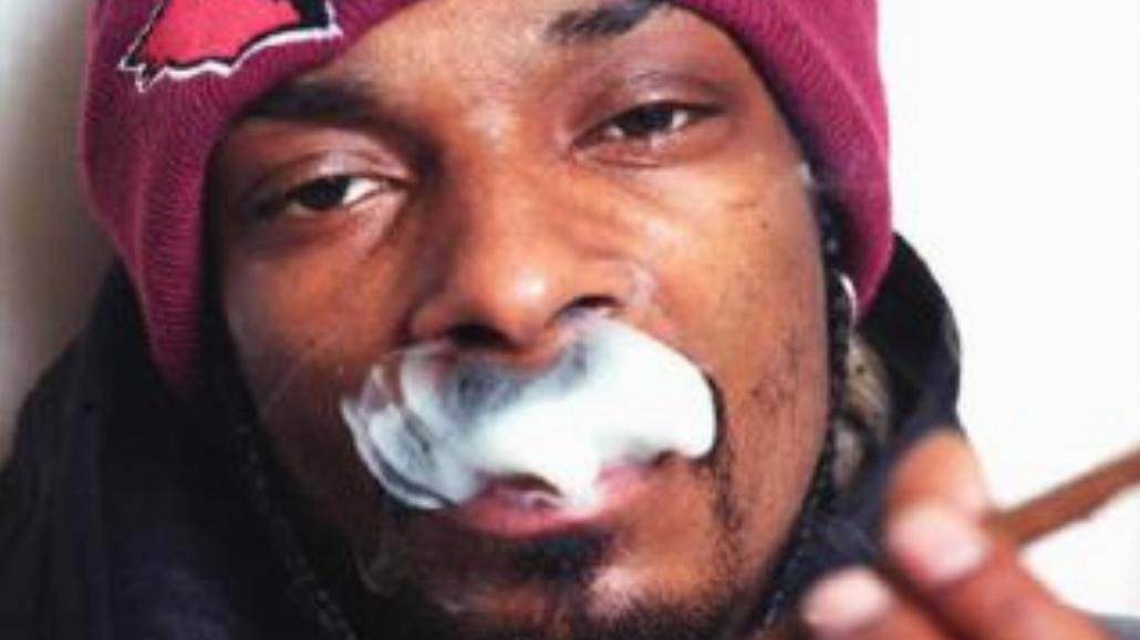 Snoop Dogg zatrzymany [WIDEO]