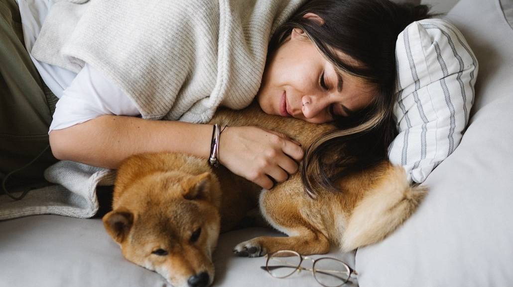Czy spanie w łÃłÅźku z psem to dobry pomysł?